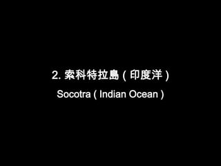 2. 索科特拉島 ( 印度洋 )
Socotra ( Indian Ocean )
 