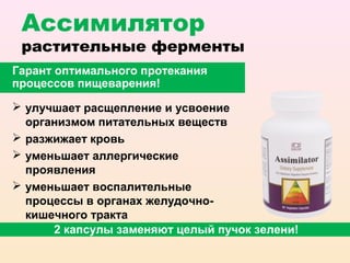 Ассимилятор
 растительные ферменты
Гарант оптимального протекания
процессов пищеварения!

 улучшает расщепление и усвоение
  организмом питательных веществ
 разжижает кровь
 уменьшает аллергические
  проявления
 уменьшает воспалительные
  процессы в органах желудочно-
  кишечного тракта
      2 капсулы заменяют целый пучок зелени!
 