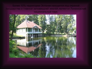 Более 10% территории Эстонии находится под охраной государства и главной заповведней землёй,является Лахемааский национальный парк. 