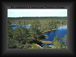 Вы побываете в поместьях Палмо и Сагади. 