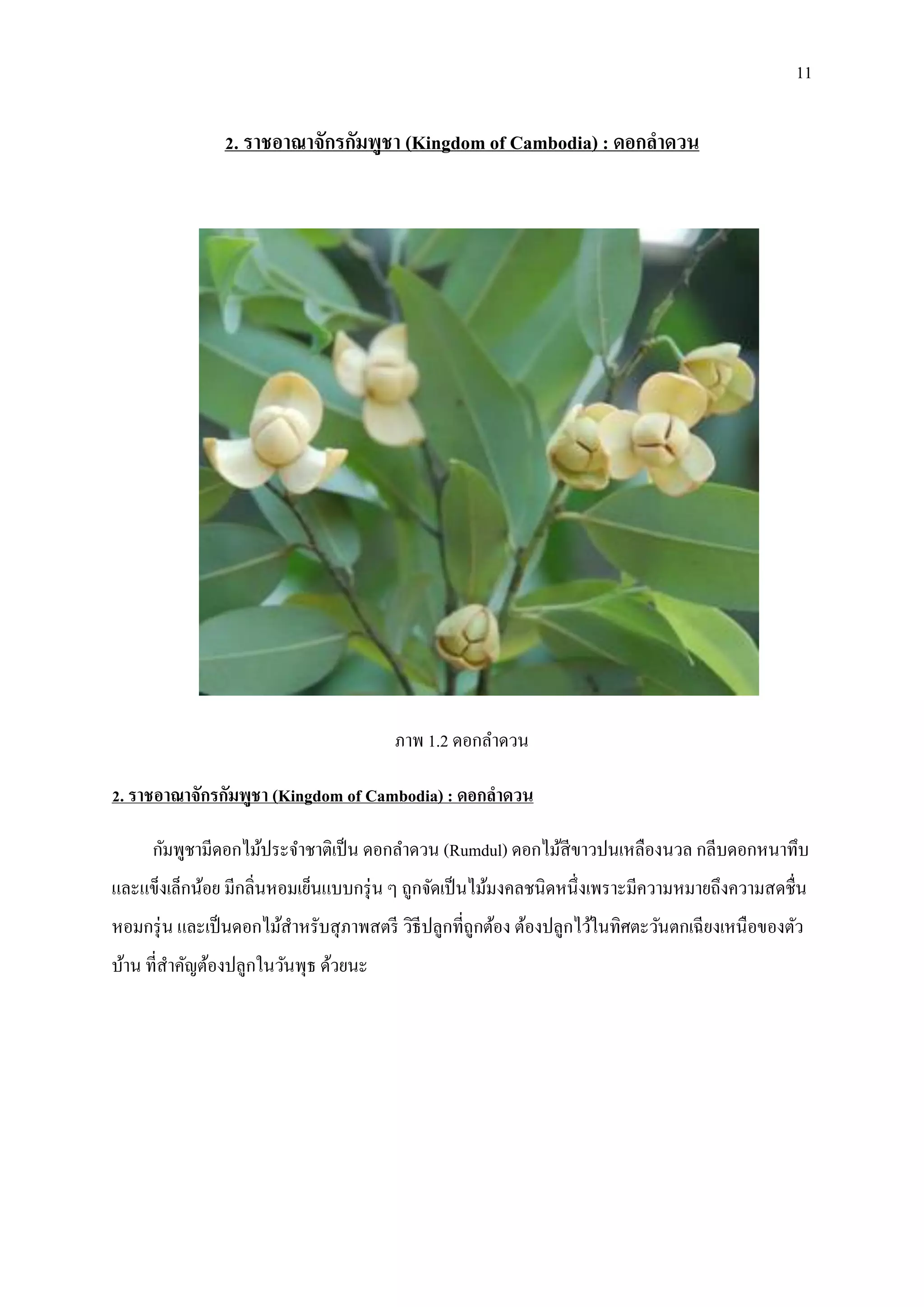 10-pdf