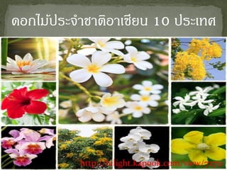 http://hilight.kapook.com/view/72711
ดอกไม้ประจำชำติอำเซียน 10 ประเทศ
 