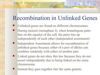Recombination in Unlinked Genes
 Unlinked genes are found on different chromosomes.
 During meiosis (metaphase I), when homologous pairs
line on the equator of the cell, the pairs line up
independently of each other (independent assortment)
 Independent Assortment allows for recombination of
unlinked genes because either of a pair of alleles can
combine randomly with either of another pair.
 Linked genes do not obey this law because they do not
assort independently due to being linked on the same
chromosome.
 Instead they pass together into the same gamete.
 