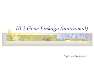10.2 Gene Linkage (autosomal)
Topic 10 Genetics
 