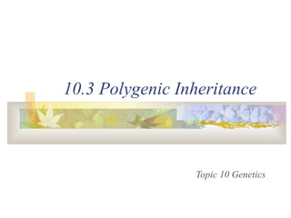 10.3 Polygenic Inheritance
Topic 10 Genetics
 