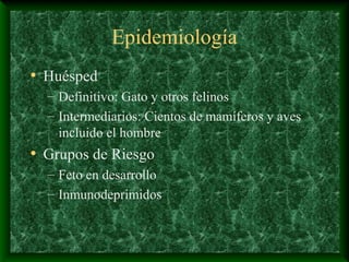 Epidemiología
• Huésped
– Definitivo: Gato y otros felinos
– Intermediarios: Cientos de mamíferos y aves
incluido el hombre
• Grupos de Riesgo
– Feto en desarrollo
– Inmunodeprimidos
 