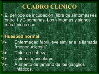 CUADRO CLINICO
• El período de incubación (libre de síntomas) es
entre 1 y 2 semanas. Los síntomas y signos
más típicos son:
• Huésped normal:
∀• Enfermedad febril leve similar a la llamada
"mononucleosis".
∀• Dolor de cabeza.
∀• Dolores musculares.
∀• Aumento de tamaño de los ganglios
linfáticos.
 