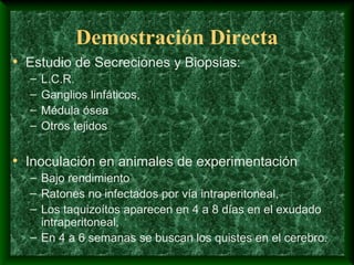 Demostración Directa
• Estudio de Secreciones y Biopsias:
– L.C.R.
– Ganglios linfáticos,
– Médula ósea
– Otros tejidos
• Inoculación en animales de experimentación
– Bajo rendimiento
– Ratones no infectados por vía intraperitoneal,
– Los taquizoítos aparecen en 4 a 8 días en el exudado
intraperitoneal,
– En 4 a 6 semanas se buscan los quistes en el cerebro.
 