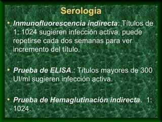 Serología
• Inmunofluorescencia indirecta: Títulos de
1: 1024 sugieren infección activa, puede
repetirse cada dos semanas para ver
incremento del título.
• Prueba de ELISA.: Títulos mayores de 300
UI/ml sugieren infección activa.
• Prueba de Hemaglutinación indirecta. 1:
1024.
 