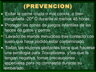 (PREVENCION)
• Evitar la carne cruda o mal cocida, o bien
congelarla -20º C durante al menos 48 horas.
• Proteger las zonas de juegos infantiles de las
heces de gatos y perros.
• Lavado de manos minucioso tras contacto con
suelo que haya podido estar contaminado.
• Todas las mujeres gestantes tiene que hacerse
una serología para Toxoplasma, y las que la
tengan negativa, tomar precauciones
especiales para no contraerla durante su
embarazo,
 
