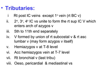 • Tributaries:
i Rt post IC veins except 1st
vein (rt BC v)
ii. 2nd
, 3rd
, 4th
IC vs unite to form the rt sup IC V which
enters arch of azygos v
iii. 5th to 11th end separately
iv. V formed by union of rt subcostal v & rt asc
lumbar v (may form azygos v itself)
v. Hemiazygos v at T-8 level
vi. Acc hemiazygos vein at T-7 level
vii. Rt bronchial v (last tribu)
viii. Oeso, pericardial & mediastinal vs
 