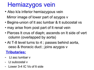 Hemiazygos vein
• Also k/a inferior hemiazygous vein
Mirror image of lower part of azygos v
• Begins-union of lt asc lumbar & lt subcostal vs
• may arise from post part of lt renal vein
• Pierces lt crus of diaph; ascends on lt side of vert
column (overlapped by aorta)
• At T-8 level turns to rt ; passes behind aorta,
oeso & thoracic duct ; joins azygos v
Tributaries:
- Lt asc lumbar v
- Lt subcostal v
- Lower 3-4 IC Vs of lt side
 