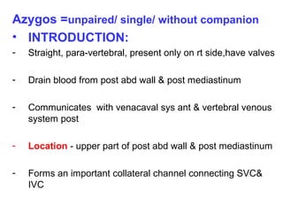 Azygos =unpaired/ single/ without companion
• INTRODUCTION:
- Straight, para-vertebral, present only on rt side,have valves
- Drain blood from post abd wall & post mediastinum
- Communicates with venacaval sys ant & vertebral venous
system post
- Location - upper part of post abd wall & post mediastinum
- Forms an important collateral channel connecting SVC&
IVC
 
