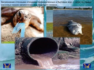 Загрязнение сточными отходами промышленных и бытовых вод — один из самых
массовых видов загрязнения вод Мирового океана.

 