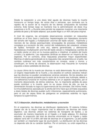 Desde la exposición a una dosis letal aguda de dioxinas hasta la muerte
transcurre un tiempo largo, de varios días o semanas, que contrasta con la
rapidez de la acción de la mayoría de los demás compuestos de toxicidad
extrema. Este tiempo largo se mantiene tras la administración de dosis muy
superiores a la DL 50.Durante este periodo las especies muestran una importante
perdida de peso y de tejido adiposo, que puede llegar a un 40% del peso original.
A nivel de organos, las principales observaciones consisten en respuestas
atróficas en el timo, bazo y testículos, hepatomegalia con hiperplasia (aumento
del tamaño del hígado y multiplicación anormal del tejido celular) , hipertrofia y
necrosis de las células parenquimales (encargadas de procesos metabólicos
complejos p.e excreciòn de bilis; control del metabolismo del colesterol; síntesis
de lípidos; formación de urea etc), edema generalizado, y alteraciones
hiperplásicas (multiplicación anormal del tejido celular) o metaplásicas (cambio de
un tejido celular en otro) en la mucosa gástrica e intestinal, el epitelio del tracto
urinario y la epidermis. Las respuestas atróficas se observan en mayoría de las
especies. Por en contrario, otras respuestas presentan mayor especificidad.
Mientras el edema generalizado es la respuesta más característica en el pollo, los
cambios cutáneos son más característicos en conejos, vacas y monos, y
constituyen, en forma de cloracné, la observación mas frecuente en humanos
expustos a dosis subletales de dioxinas.
La causa última de la muerte por dioxinas no está determinada. No se identifica
un órgano responsable de la muerte, y los estudios en cultivos celulares indican
que las dioxinas no pueden considerarse venenos celulares. De los estudios con
animal intacto parece probable que la razón de la muerte sea multimple, debido a
una deficiencia funcional en muchos sistemas o en un aspecto integrativo, por el
momento desconocido, de dichos sistemas. Así, la importante pérdida de peso
puede contribuir a la muerte, pero no es causa única de ella, ya que la
alimentación forzada no logra la supervivencia de los animales. Del mismo modo,
la inmunodeficiencia asociada por la atrofia del timo hace que animales expuestos
a dosis letales de dioxinas puedan sufrir infecciones, especialmente pulmonares,
pero el uso de cepas libres de patógenos en ambientes estériles no logra
tampoco la supervivencia.
10.7.3 Absorción, distribución, metabolismos y excreción
En el organismo, las dioxinas se distribuyen rápidamente. El sistema linfático
parece ser de la mayor importancia tras la absorción de dioxinas del tracto
digestivo. Las dioxinas utilizan los sistemas de transporte de lípidos, y se
acumulan de manera importante en el hígado y el tejido adiposo. En diversos
estudios, la proporción del total de dioxinas encontrado en el hígado y tejido
adiposo varía del 10 al 60% del total de dioxinas en el organismo. La piel puede
ser también un importante lugar de acumulación. La distribución de las dioxinas
no depende sólo de su carácter lipofílico. Por el contrario, su unión específica a
522

 