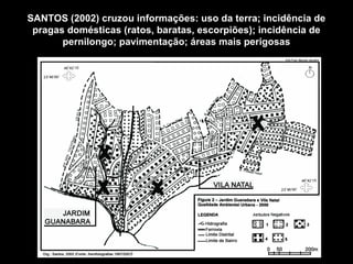 SANTOS (2002) cruzou informações: uso da terra; incidência de
pragas domésticas (ratos, baratas, escorpiões); incidência de
pernilongo; pavimentação; áreas mais perigosas

 
