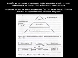 PADRÕES – valores que expressam os limites nos quais a ocorrência de um
indicador deve ser ou não nociva ao homem ou ao seu ambiente
Inserem-se em uma PIRÂMIDE DE INFORMAÇÕES cuja base é formada por dados
primários e o topo compreende os índices integrados

 