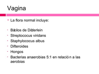 Vagina


La flora normal incluye:

•

Bá
cilos de Dö
derlein
Streptococus viridans
Staphylococus albus
Difteroides
Hongos
Bacterias anaerobias 5:1 en relació n a las
aerobias

•
•
•
•
•

 