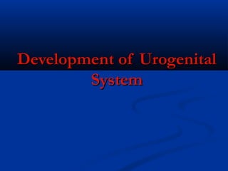 Development of Urogenital
System

 