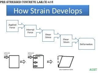How Strain Develops
Applied
Force

Internal
Force

Shear
Stress

Shear
Strain

Deformation

 