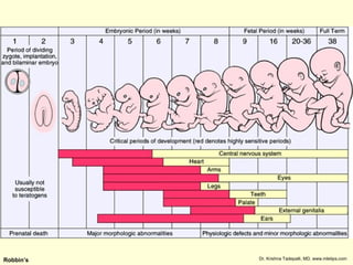 10.1 congenital anomalies; pediatric pathology | PPT