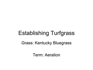 Establishing Turfgrass Grass: Kentucky Bluegrass Term: Aeration 