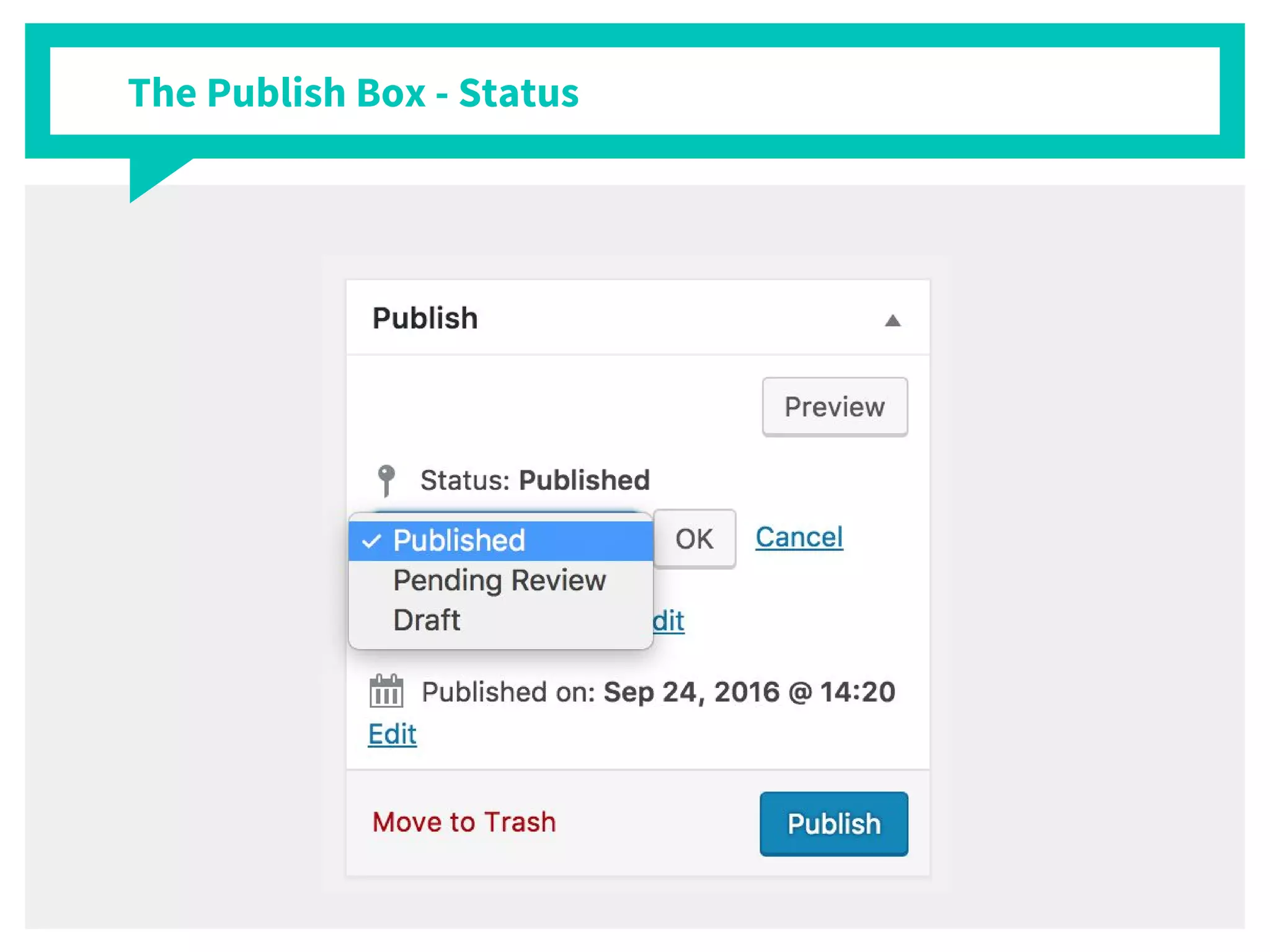 The Publish Box - Status
 
