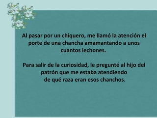 Al pasar por un chiquero, me llamó la atención el
porte de una chancha amamantando a unos
cuantos lechones.
Para salir de la curiosidad, le pregunté al hijo del
patrón que me estaba atendiendo
de qué raza eran esos chanchos.

 