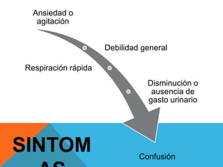 Ansiedad o
agitación
Debilidad general
Respiración rápida
Disminución o
ausencia de
gasto urinario

SINTOM

Confusión

 