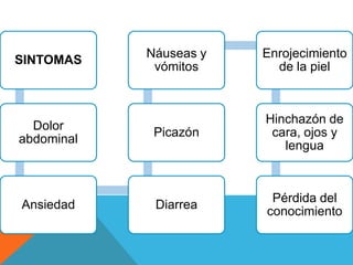 SINTOMAS

Dolor
abdominal

Ansiedad

Náuseas y
vómitos

Enrojecimiento
de la piel

Picazón

Hinchazón de
cara, ojos y
lengua

Diarrea

Pérdida del
conocimiento

 