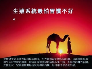 生殖系統最怕習慣不好
。

女性易受陰道炎等婦科疾病困擾，男性總被前列腺疾病糾纏，這兩種疾病都
與生活習慣密切相關。陰道炎等很多婦科病與久坐不動、不勤換內褲等有關。
女性朋友一定要選擇寬鬆透氣的棉質內褲，每日用清水清洗外陰。

 