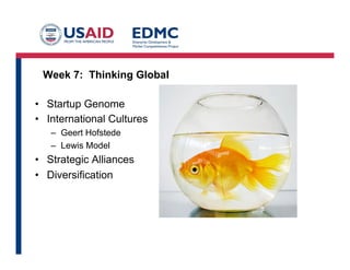 Week 7: Thinking Global
•  Startup Genome
•  International Cultures
–  Geert Hofstede
–  Lewis Model
•  Strategic Alliances
•  Diversification
 