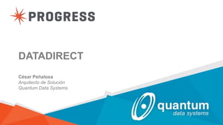 DATADIRECT
César Peñalosa
Arquitecto de Solución
Quantum Data Systems
 