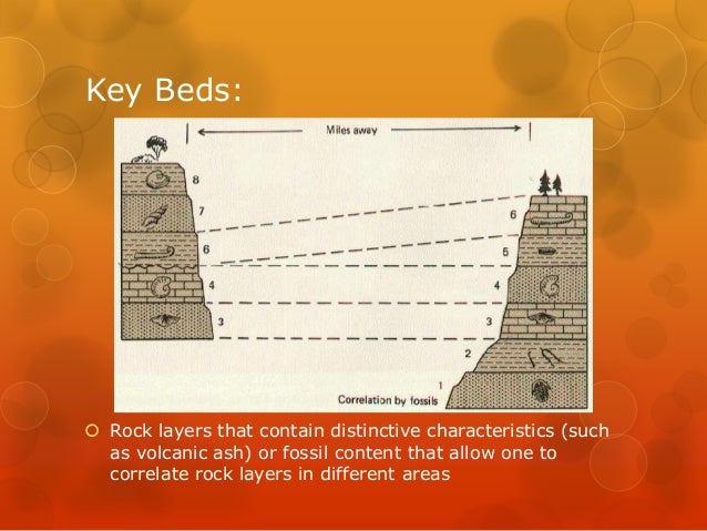 10. fossil notes