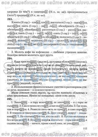русский язык, 10 класс (л.a. мурина, е.е.долбик, ф.м. литвинко  2009