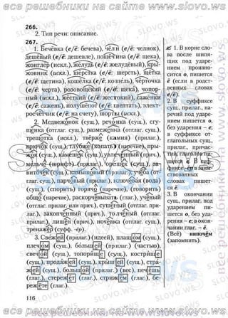 русский язык, 10 класс (л.a. мурина, е.е.долбик, ф.м. литвинко  2009