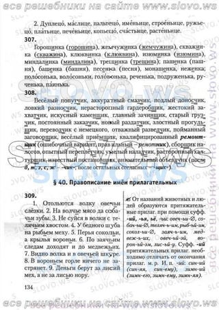 русский язык, 10 класс (л.a. мурина, е.е.долбик, ф.м. литвинко  2009