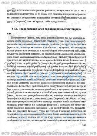 русский язык, 10 класс (л.a. мурина, е.е.долбик, ф.м. литвинко  2009