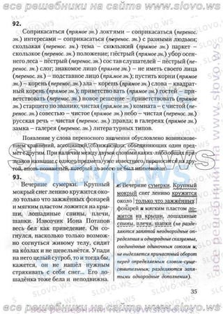 русский язык, 10 класс (л.a. мурина, е.е.долбик, ф.м. литвинко  2009