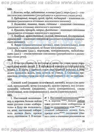 русский язык, 10 класс (л.a. мурина, е.е.долбик, ф.м. литвинко  2009