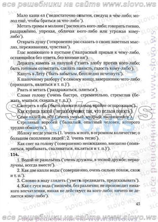 русский язык, 10 класс (л.a. мурина, е.е.долбик, ф.м. литвинко  2009