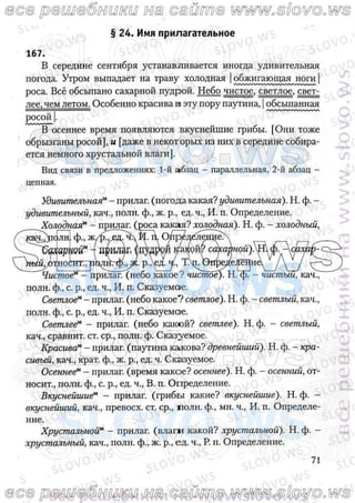 русский язык, 10 класс (л.a. мурина, е.е.долбик, ф.м. литвинко  2009