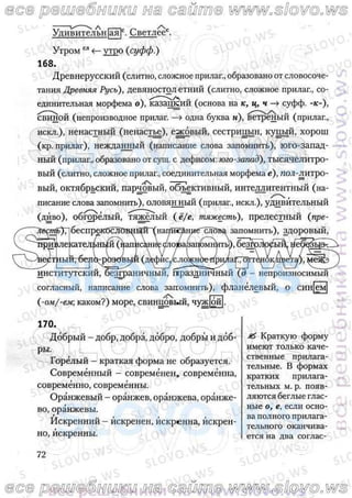 русский язык, 10 класс (л.a. мурина, е.е.долбик, ф.м. литвинко  2009