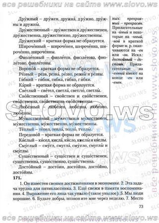 русский язык, 10 класс (л.a. мурина, е.е.долбик, ф.м. литвинко  2009