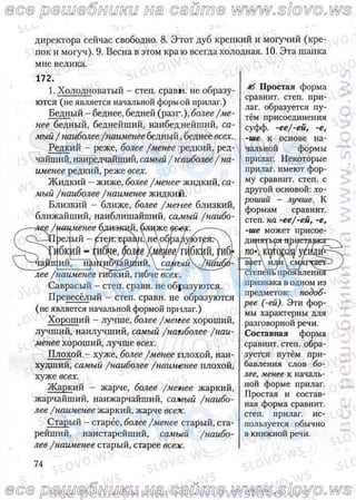 русский язык, 10 класс (л.a. мурина, е.е.долбик, ф.м. литвинко  2009