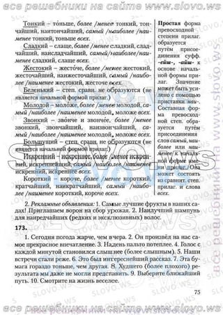 русский язык, 10 класс (л.a. мурина, е.е.долбик, ф.м. литвинко  2009