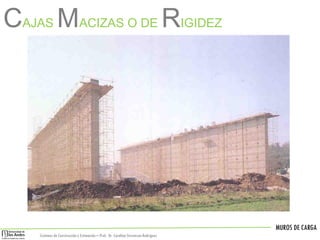 MUROS DE CARGA
Sistemas de Construccióny Estimación – Prof: Dr. Carolina StevensonRodriguez
CAJAS MACIZAS O DE RIGIDEZ
 