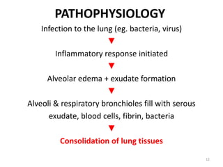 PATHOPHYSIOLOGY
Infection to the lung (eg. bacteria, virus)
▼
Inflammatory response initiated
▼
Alveolar edema + exudate formation
▼
Alveoli & respiratory bronchioles fill with serous
exudate, blood cells, fibrin, bacteria
▼
Consolidation of lung tissues
12
 
