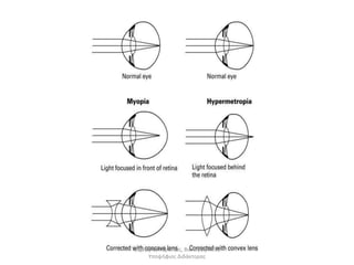 Δημήτρης Καρατζάς, Βιολόγος, MSc, 
Υποψήφιος Διδάκτορας 
 