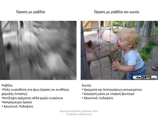 Όραση με ραβδία Όραση με ραβδία και κωνία 
Ραβδία: 
•Πολύ ευαίσθητα στο φως (όραση σε συνθήκες 
χαμηλής έντασης) 
•Αντίληψη σχήματος αλλά χωρίς ευκρίνεια 
•Ασπρόμαυρη όραση 
• Χρωστική: Ροδοψίνη 
Κωνία: 
• Χρώματα και λεπτομέρειες αντικειμένου 
• Διέγερση μόνο με επαρκή φωτισμό 
• Χρωστική: Ιωδοψίνη 
Δημήτρης Καρατζάς, Βιολόγος, MSc, 
Υποψήφιος Διδάκτορας 
 